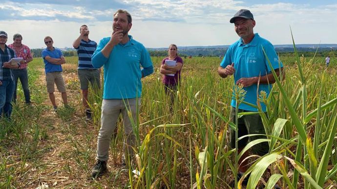 « L’objectif de cette plateforme est de comparer une diversité d’espèces à implanter après la récolte du seigle », explique Martin Lechenet (au premier plan, à g.), en compagnie de Jean-Baptiste Martinien (à dr.), tous deux du service technique de Dijon céréales. © L. PETIT